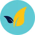 A teal circular icon featuring a large yellow leaf and a smaller navy blue leaf, symbolizing non-toxic and environmentally safe cleaning solutions.